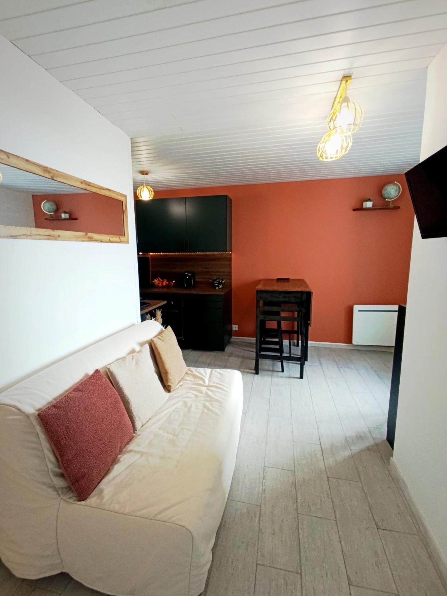 Appartement Face Mer 4 Personnes Linge De Maison Et Papier Toilette Non Fournis Сент-Илер-де-Рье Экстерьер фото